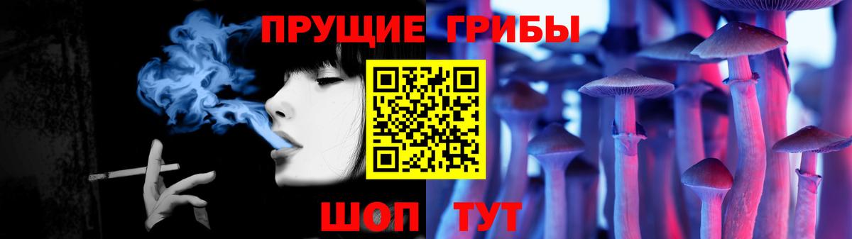 Галлюциногенные грибы мицелий  Вход с VPN  Заводоуковск 